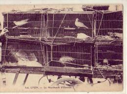 Lyon  69  La Marchande D'oiseaux  Pigeons - Otros & Sin Clasificación