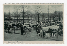 LEEUWARDEN - Veemarkt - Leeuwarden