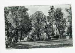 SUCY EN BRIE - Parc Montaleau - Sucy En Brie