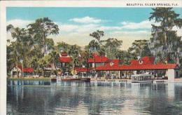 Florida Silver Springs Beautiful Silver Springs - Silver Springs