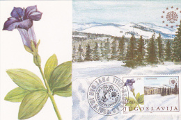 YU69  --  YUGOSLAVIA  --  CARTE MAXIMUM + FDC ( PRVI DAN )  --    NATIONAL PARK KOPAONIK, SERBIA - Cartoline Maximum