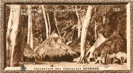 Chromos Réf. C466. Chocolat Suchard - Collection Coloniale 162 - Village Dans La Forêt équatoriale, Gabon - Suchard