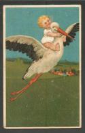 BABY BOY  ON BIRD  STORK   EMBOSSED    , OLD POSTCARD  , O - Geboorte