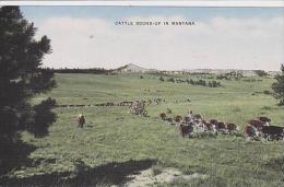 Montana Montana Cattle Round Up In Montana - Andere & Zonder Classificatie