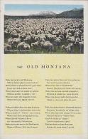 Montana 940 Old Montana - Andere & Zonder Classificatie