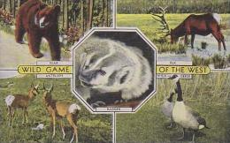 Montana Montana Wild Game Of The West - Other & Unclassified