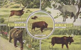 Montana Montana Wild Game Of The West - Other & Unclassified