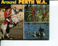 (postcard Booklet 26) Australia - WA - Perth - Perth