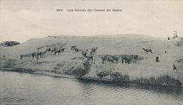 ( CPA EGYPTE )  Les Bords Du Canal De SUEZ  / - Sues