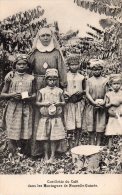 Papouasie Nouvelle Guinée Cueillette Du Café Dans Les Montagnes Animée - Papua-Neuguinea