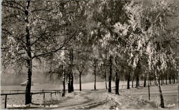 AK Bad Wörishofen, Birkenallee Im Winter, Gel 1961 - Bad Woerishofen