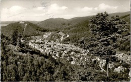 AK Bad Lauterberg, Blick Vom Scholben, Gel 1965 - Bad Lauterberg