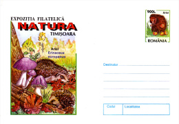 HEDGEHOG, MUSHROOMS, COVER STATIONERY, ENTIERE POSTAUX, 1998, ROMANIA - Nager