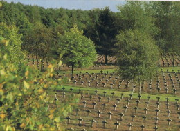 Lommel  Soldatenfriedhof - Lommel