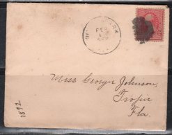 S502.-. USA, 1890-1893 , SCOTT # : 219D. WASHINGTON. ON COVER, WINTERPARK ( FL ) TO TROPIC ( FL ) - Cartas & Documentos
