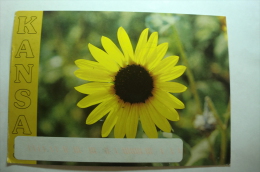 Kansas - The Native Sunflower - Tournesol - Andere & Zonder Classificatie