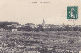 13 / PELISSANNE / VUE PANORAMIQUE - Pelissanne