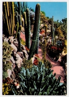Postcard - Monaco    (V 17890) - Exotic Garden