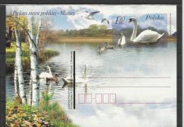 Pologne Poland Polen EP 59  Oiseaux Birds Cygne - Swans