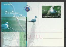 Pologne Poland Polen EP 65  Oiseaux Birds Mouette - Seagulls