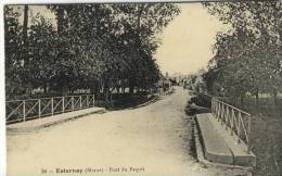 CPA (51)    ESTERNAY    Pont Du Paquis - Esternay