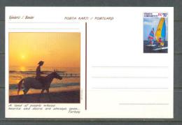 1999 TURKEY TOURISM - WINDSURFING - HORSERIDER AT SUNSET POSTCARD - Postal Stationery