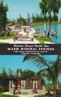 Florida Venice Warm Mineral Springs - Venice
