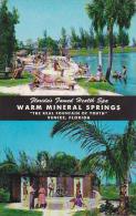 Florida Venice Warm Mineral Springs - Venice