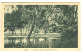 I237 Zambia - Zambèze - L'eglise De Lealui Pendant L'inondation / Non Viaggiata - Zambie