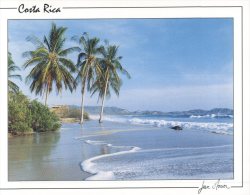 (345) Costa Rica - Playa Guiones - Costa Rica
