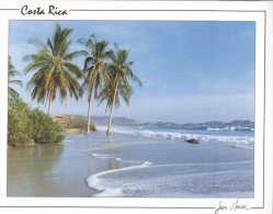 (345) Costa Rica - Playa Guiones - Costa Rica