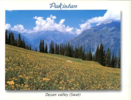 (321) Pakistan - Desan Valley - Pakistan