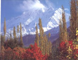 (321) Pakistan - Rakaposhi Peak - Pakistan