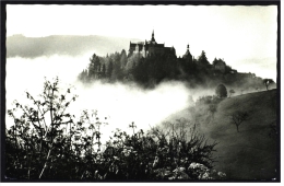 Burg Lauenstein Im Frankenwald   -  Ansichtskarte Ca.1960    ( 1865 ) - Kronach