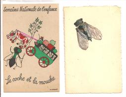 ANIMAUX    - Lot De 2 Cartes     -   Insectes  - Mouches - Insectes