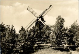 AK Krakow Am See, Windmühle, Gel, 1970 - Krakow