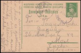 Yugoslavia 1949, Postal Stationery Nadalj To Mol - Briefe U. Dokumente