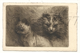 Chat (Animaux) : Portrait De 2 Chats Dont Siamois Eau-Forte En 1930 (animé). - Cats