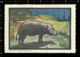 Old Original German Poster Stamp (advertising Cinderella, Reklamemarke, Werbemarke ) Animals Rhinoceros Nashorn - Rhinoceros