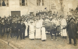 Barjols (83) Fête De La Saint Marcel Carte Photo - Barjols