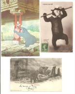 ANIMAUX  Sauvages - Lot De  3cartes 2 CPA 1 Précurseur  - Ours Bruns - Ours De Sibérie -  Carte Humoristique Walt Disney - Bears