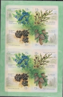 2013 Russland Mi. 1914-7 **MNH  Einheimische Flora: Nadelbäume - Ungebraucht