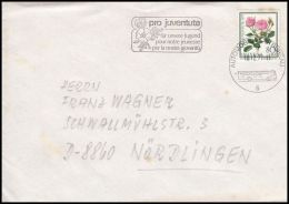 Switzerland 1977, Registred Cover Autimbil Postoffice To Nordlingen - Brieven En Documenten