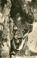 Gorges Et Cascade De Triege Ligne Martigny Chamonix 4139 Editions Louis Burgy - Martigny