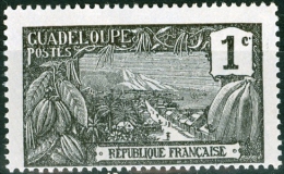 GUADALUPA, GUADELOUPE, COLONIA FRANCESE, FRENCH COLONY, 1905-1927,  NUOVO (MNG), Scott 54, YT 55 - Neufs