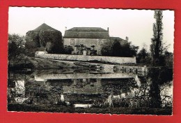 BUSSIERE POITEVINE ( Haute-Vienne) Château De Busserolles... - Bussiere Poitevine