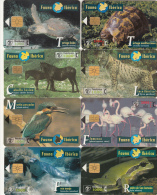 LOT DE 10 TELECARTES ESPAGNOLE, FAUNE IBERICA, TORTUE, GRENOUILLE ETC. - Collections