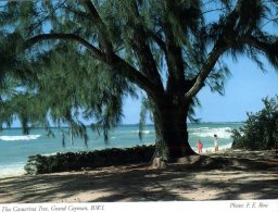 (789) Cayman Islands - Iles Caïman - Beach - Caïman (Iles)