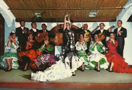 Gran Cuadre Flamenco - Torremolinos Spain.  A-2502 - Danse