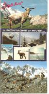 ANIMAUX  Ruminants - Lot De  3cartes  - Chamois Des Alpes Et Bouc - Girafes